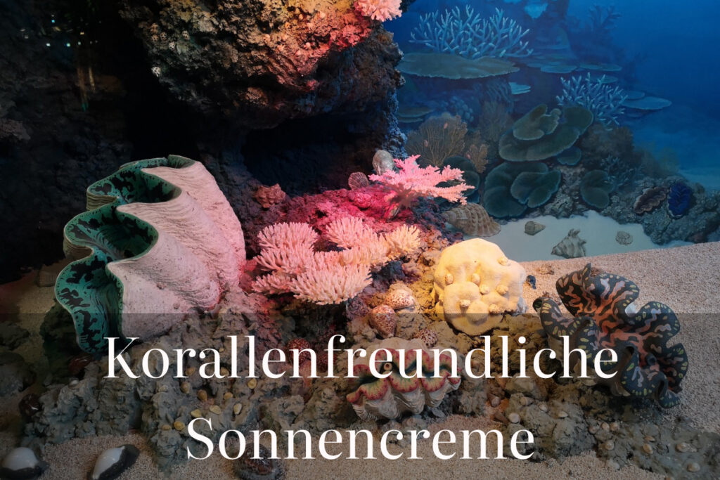 Wie korallenfreundliche Sonnencreme unsere Ozeane rettet