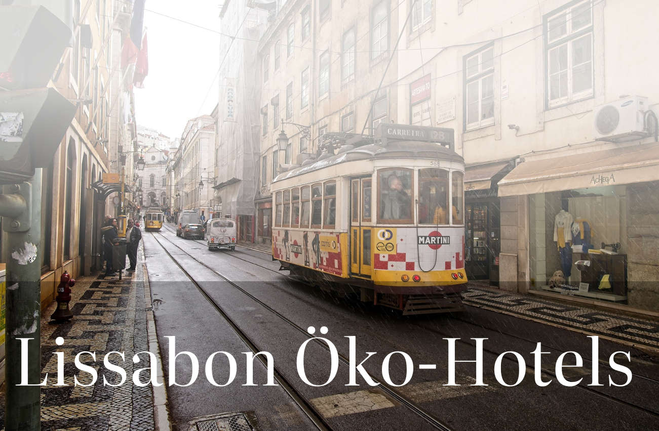 Die besten Öko-Hotels für deinen Lissabon-Aufenthalt