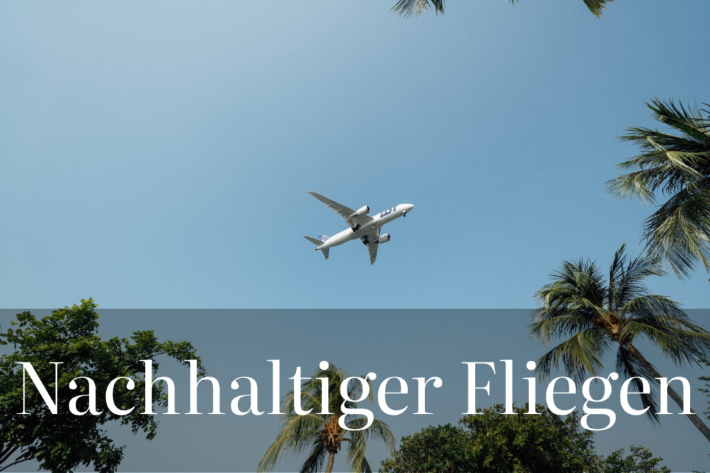 nachhaltiger fliegen