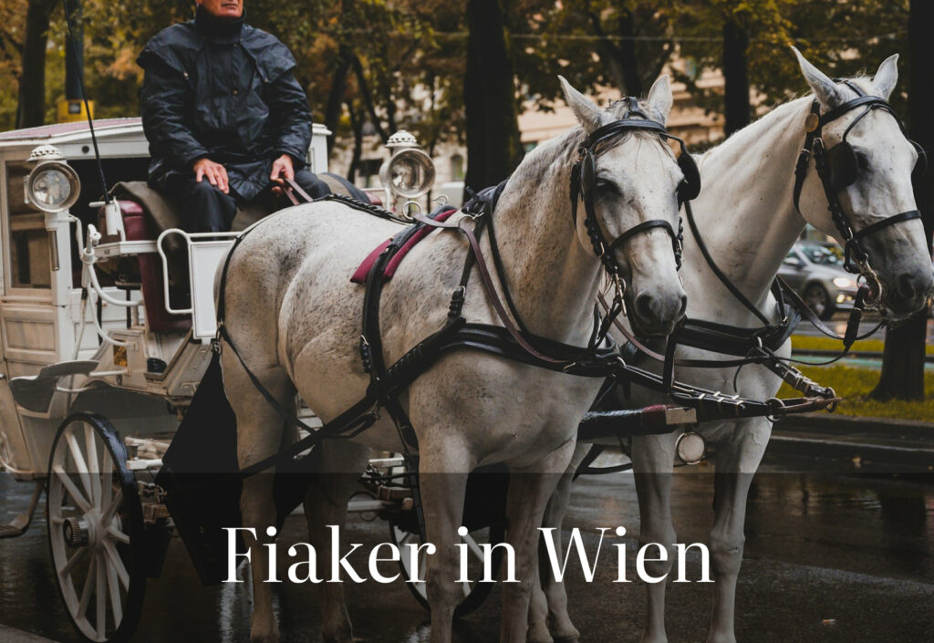 wien fiaker tierquälerei