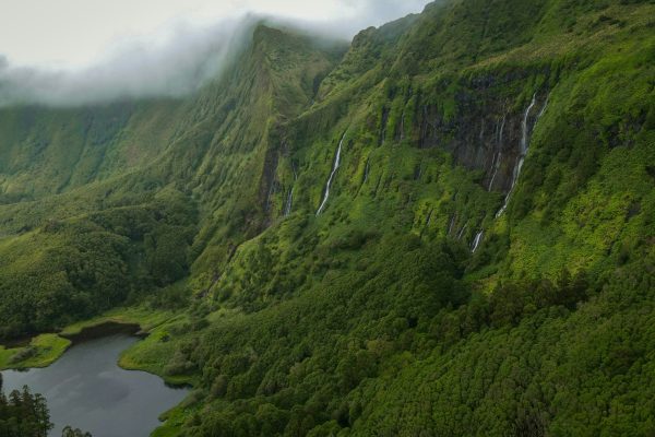 flores, azoren