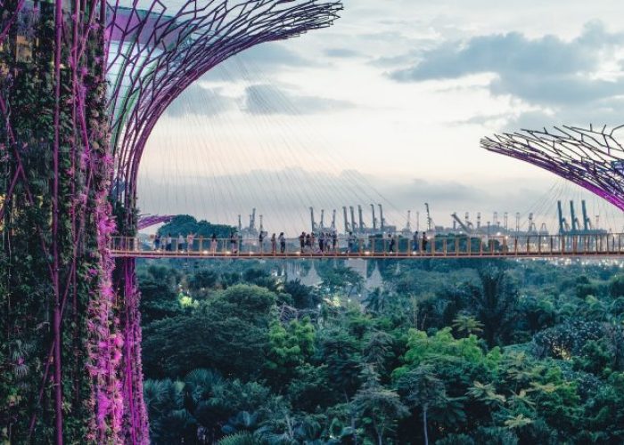 gardens by the bay, singapur